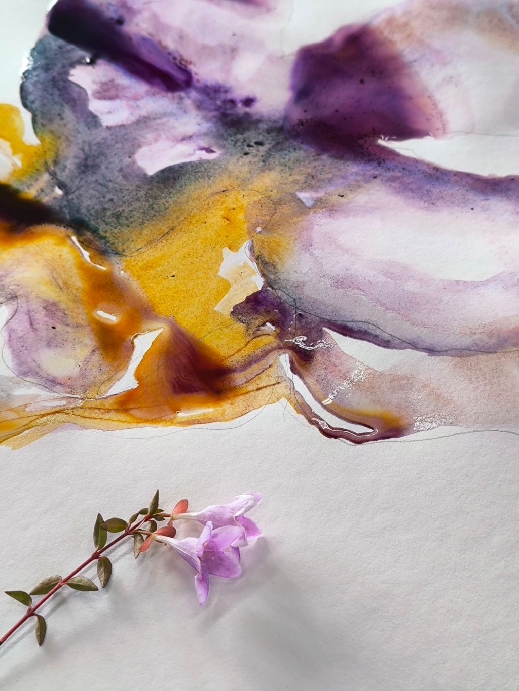 Micro-Joy, de kleine&nbsp;gelukjes.